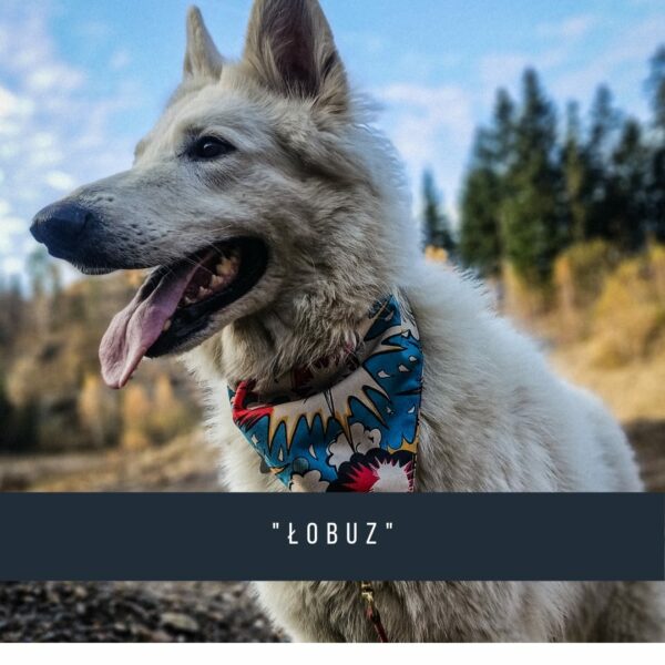 Bandana dla psa, wzór "Łobuz" - obrazek 2